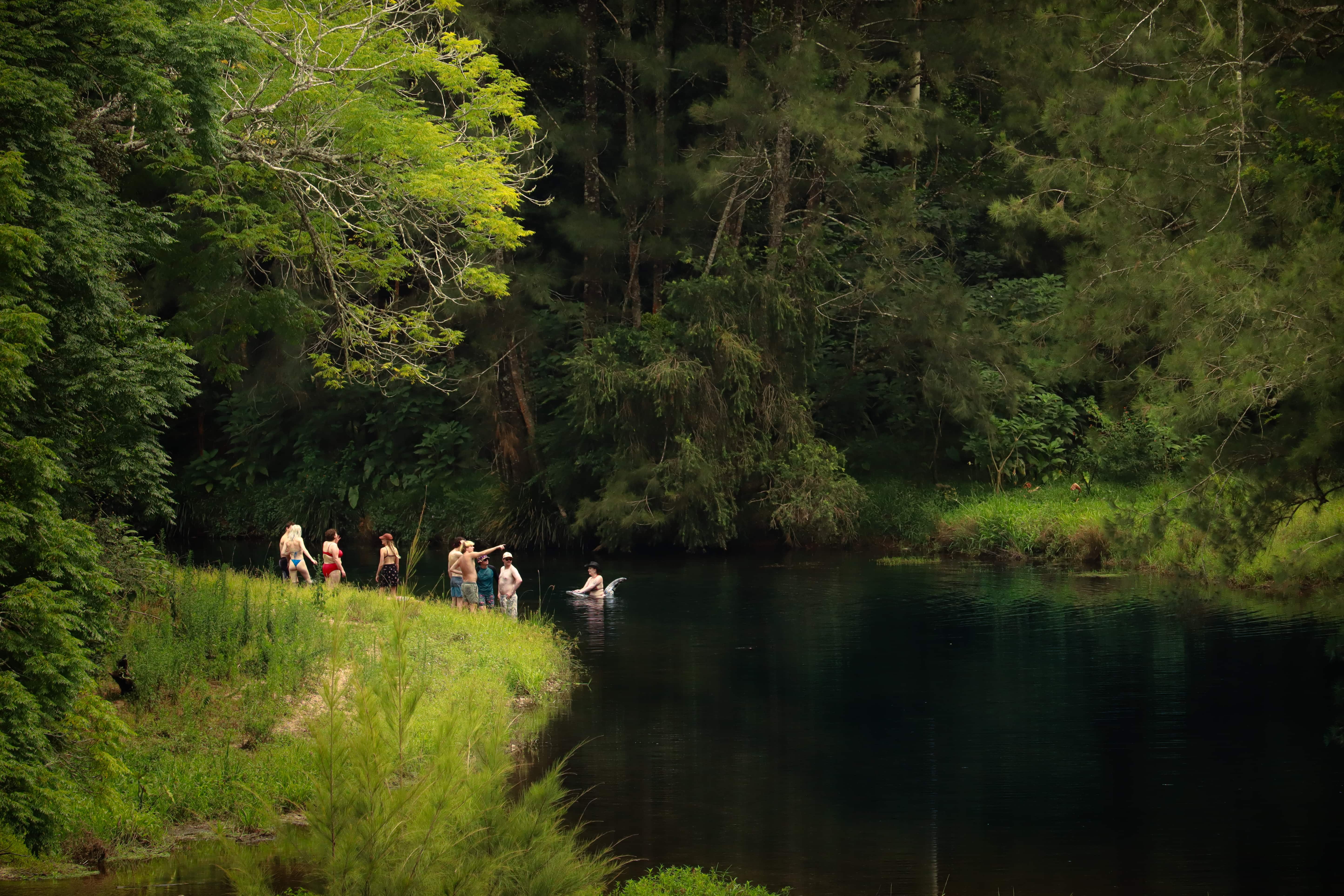 Pacific Bushlands